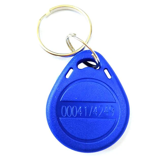 125khz RFID EM4100 TK4100 Key Fobs